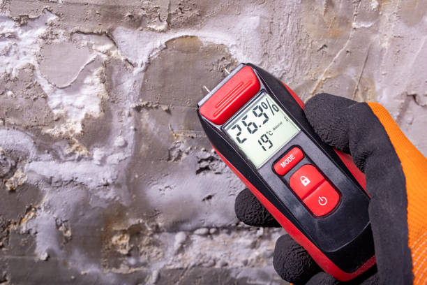 Best Emergency Mold Removal  in Roman Forest, TX