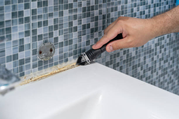 Best Mold Removal Company Near Me  in Roman Forest, TX